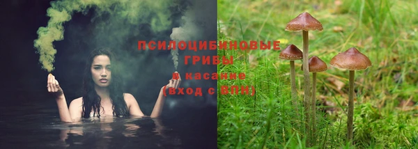 марки lsd Аркадак