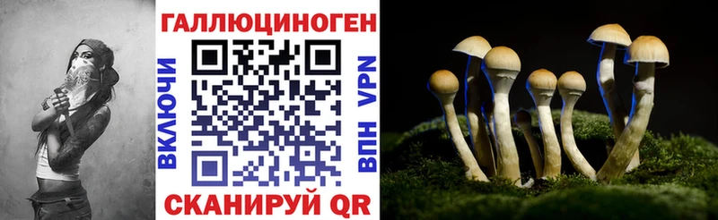 omg как войти  Темников  Галлюциногенные грибы прущие грибы 