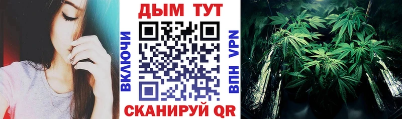 Бошки Шишки тримм закладки даркнет Telegram Темников